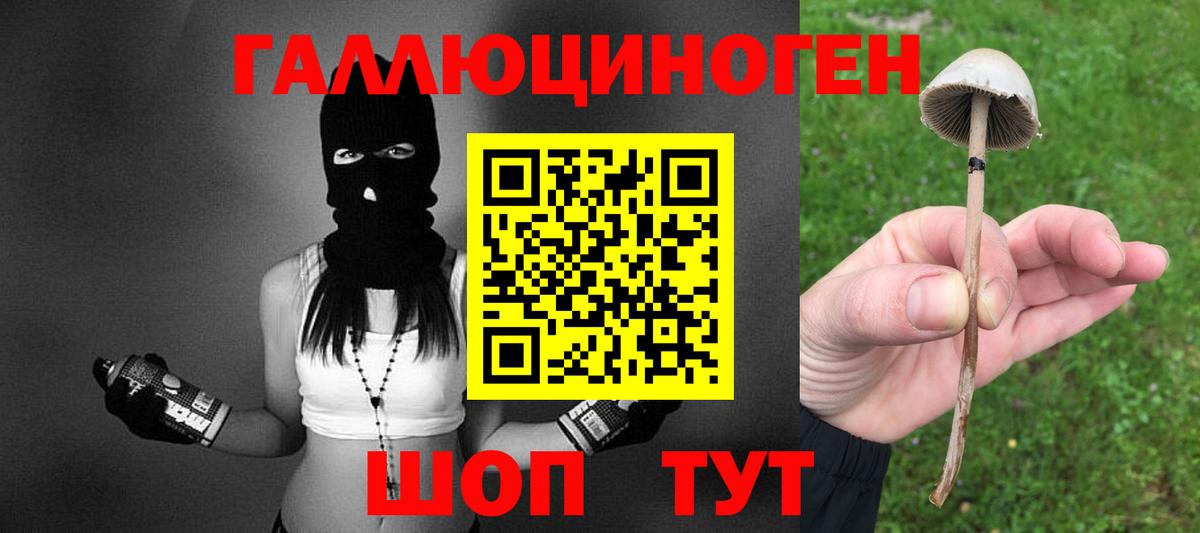 Галлюциногенные грибы мухоморы Полевской