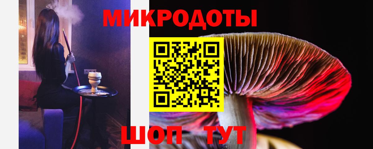 Полевской  Галлюциногенные грибы Psilocybe  Галлюциногенные грибы прущие грибы  Вход с VPN 